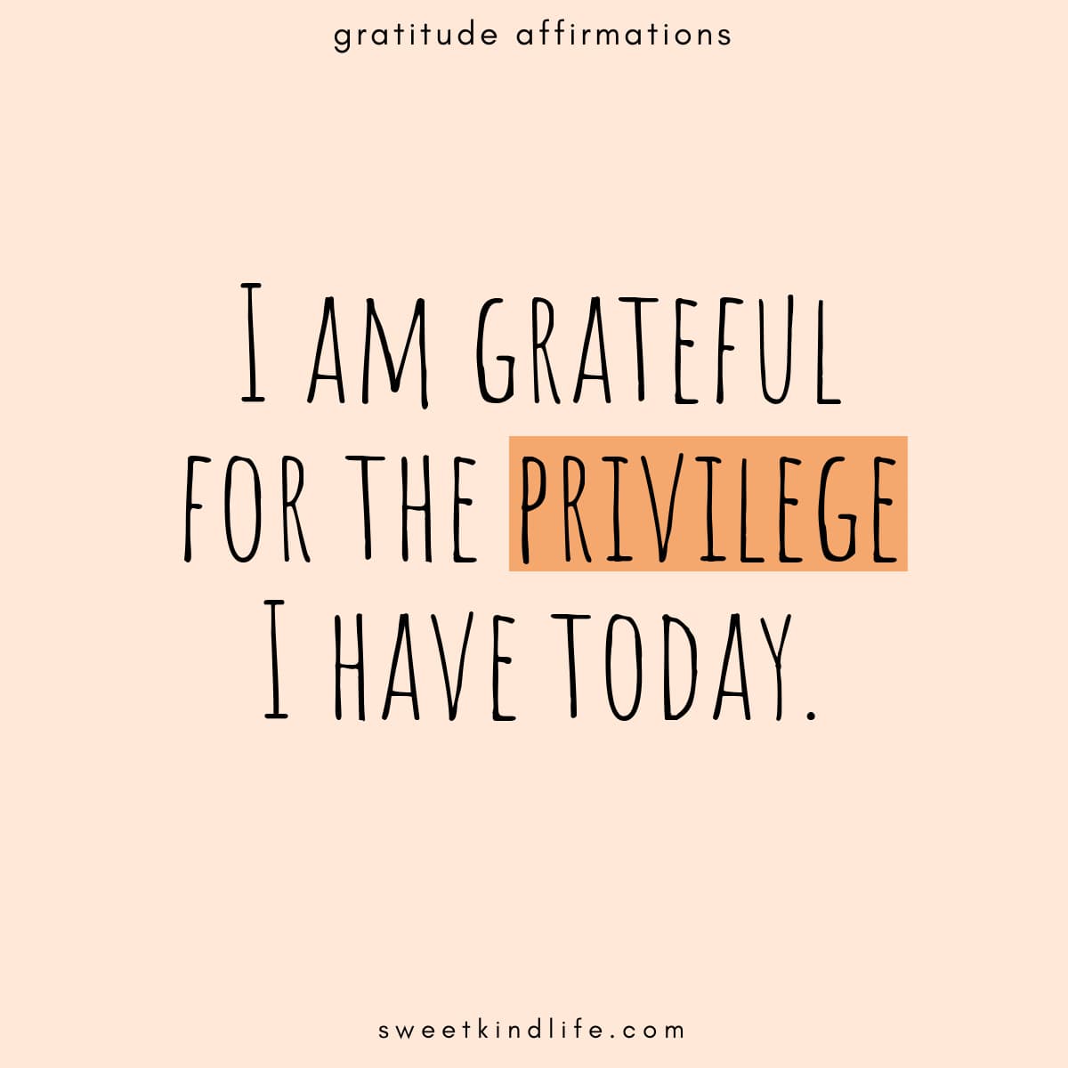 gratitude affirmations: I am grateful for the privilege I have today text overlay on an orange background