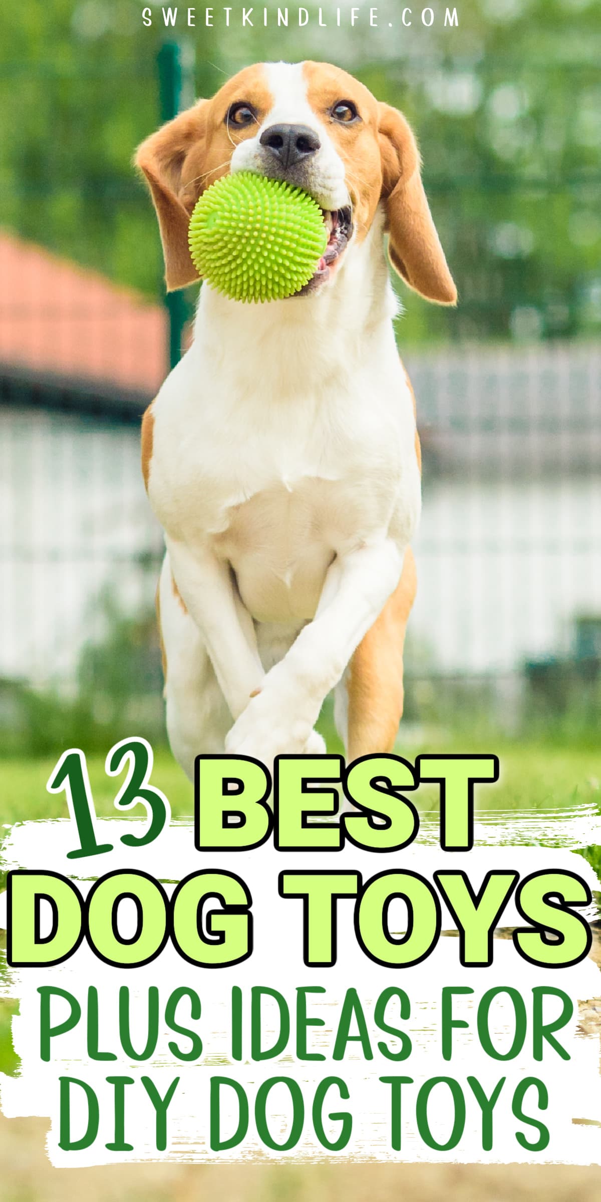 13 Best Dog Toys (Plus Ideas for DIY Dog Toys)