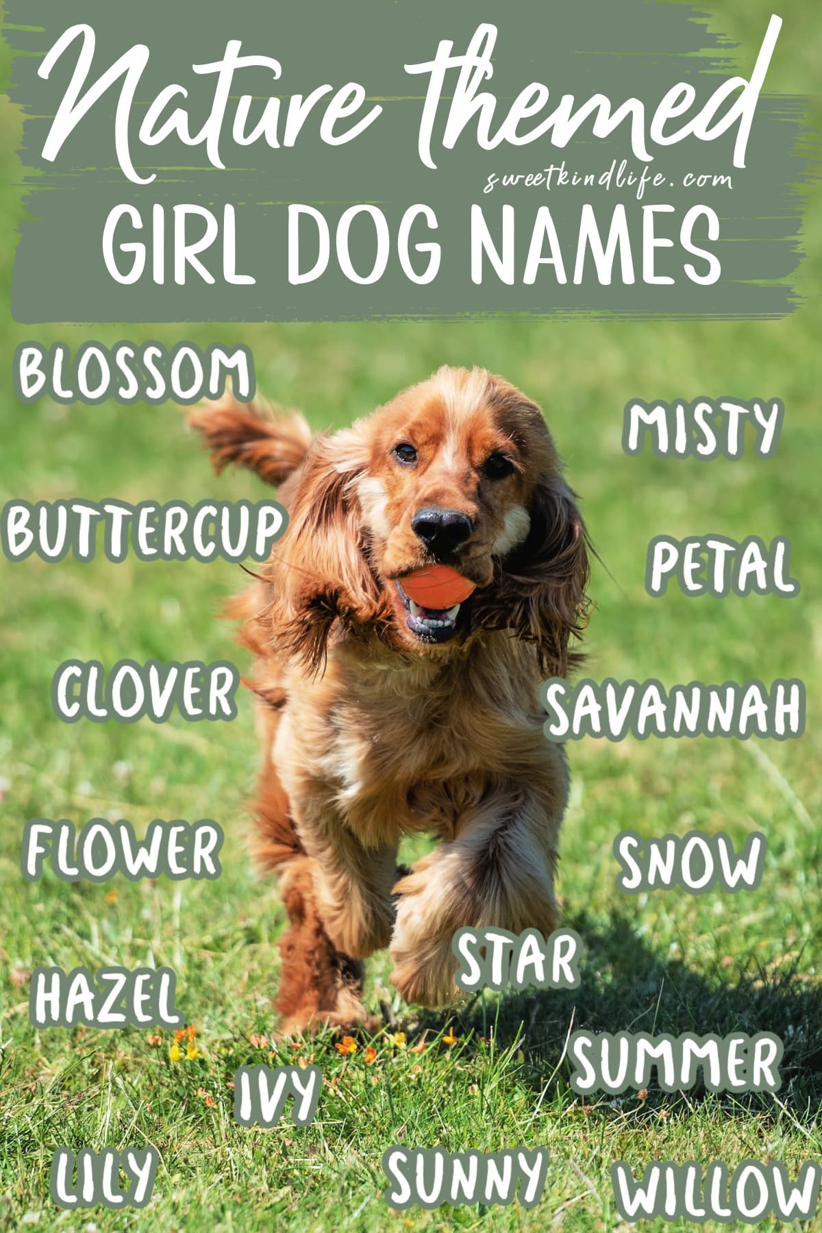 Nature themed Girl Dog Names