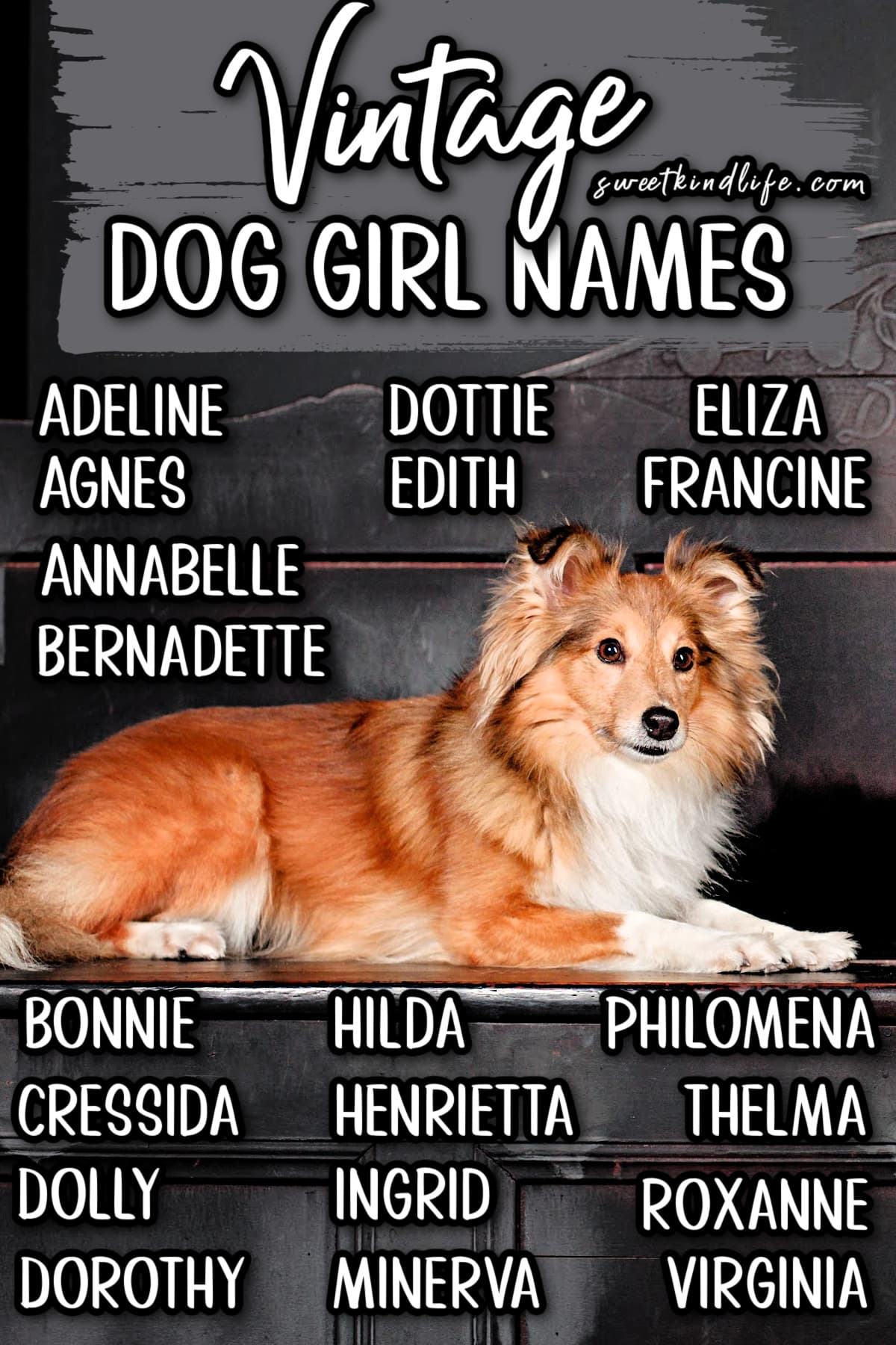 Vintage Dog Girl Names